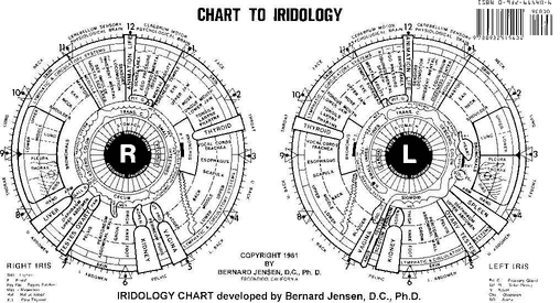 iridology eye chart